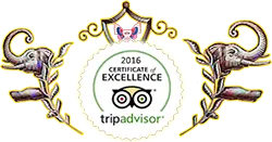 TripAdvisor Excellence Award 2016